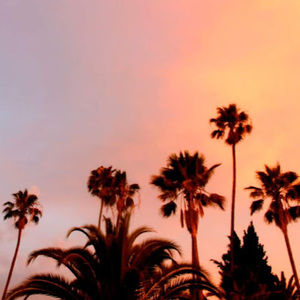 Meet your Posher, Faith